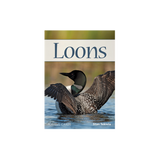 Loons Playing Cards