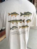 MN Freshwater Game Fish Tee