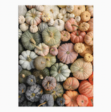 Heirloom Pumpkins 1,000-Piece Puzzle