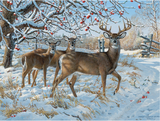 Winter Deer 500-piece Puzzle