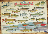 Freshwater Fish of North America 1000-Piece Puzzle