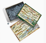 Freshwater Fish of North America 1000-Piece Puzzle