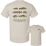 MN Freshwater Game Fish Tee
