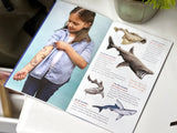 Tattoo Sharks: 50 Temporary Tattoos That Teach